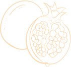 cradis-fruit-Champagne-pomegranate-shape-03-2