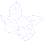 cradis-fruit-Lavender-grapes-shape-03-2