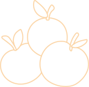 cradis-fruit-Champagne-orange-shape-03-2.webp